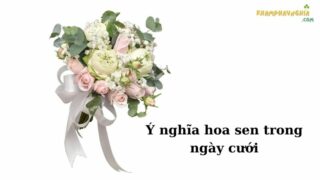 Ý Nghĩa Hoa Sen Trong Ngày Cưới Bạn Cần Biết