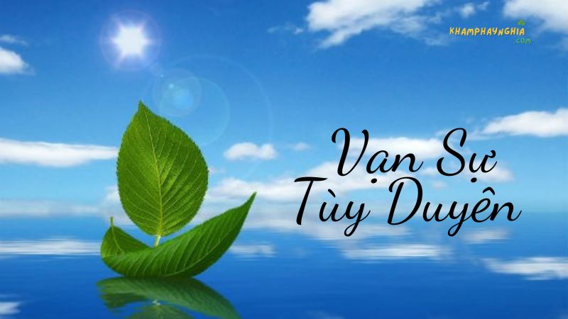 Ý nghĩa hoa rơi cửa Phật, vạn sự tùy duyên là gì?